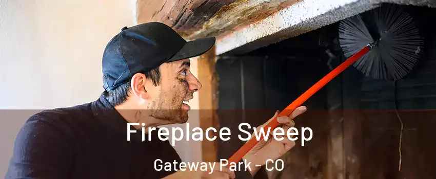 Fireplace Sweep Gateway Park - CO