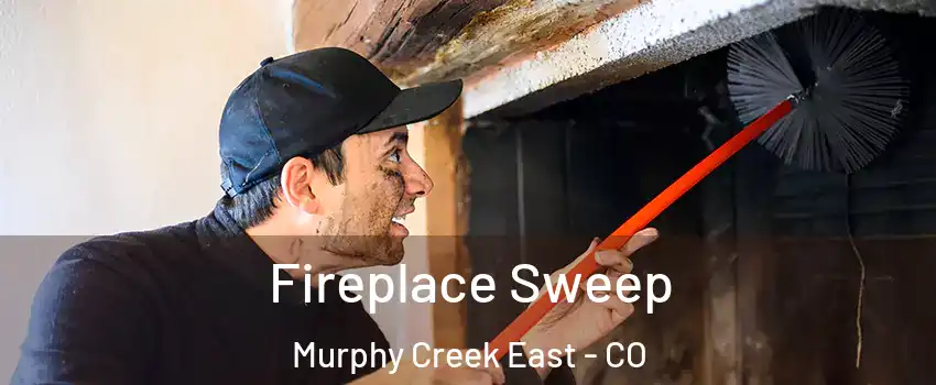 Fireplace Sweep Murphy Creek East - CO