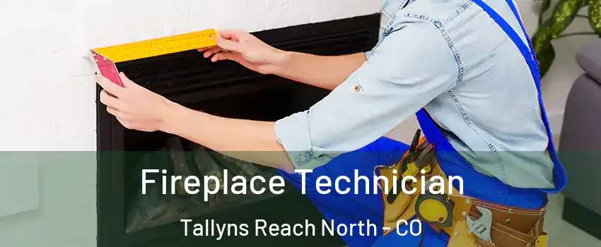 Fireplace Technician Tallyns Reach North - CO