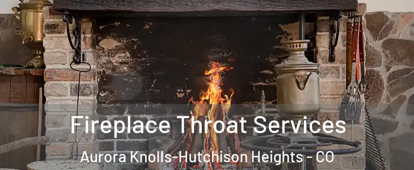 Fireplace Throat Services Aurora Knolls-Hutchison Heights - CO