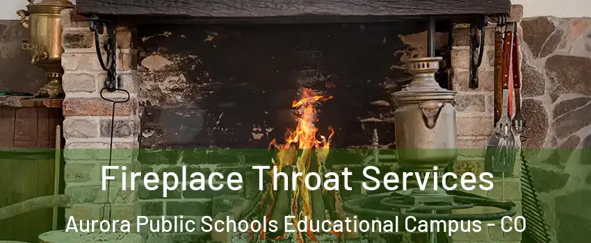 Fireplace Throat Services Aurora Public Schools Educational Campus - CO