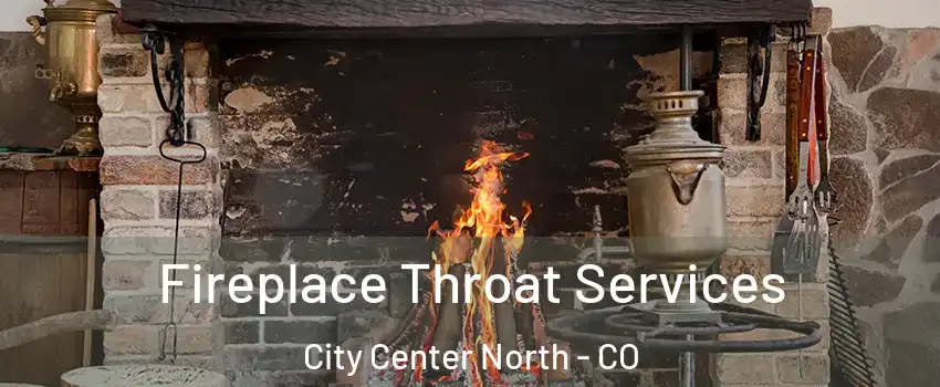 Fireplace Throat Services City Center North - CO