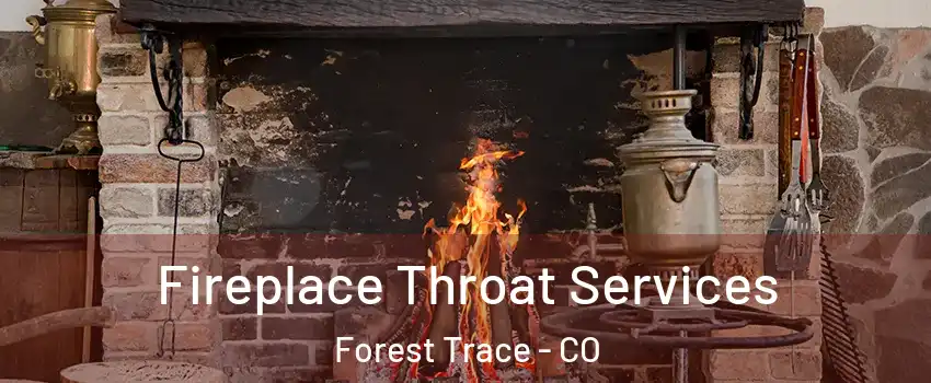 Fireplace Throat Services Forest Trace - CO