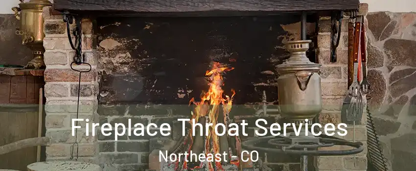 Fireplace Throat Services Northeast - CO