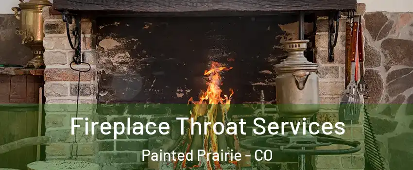 Fireplace Throat Services Painted Prairie - CO