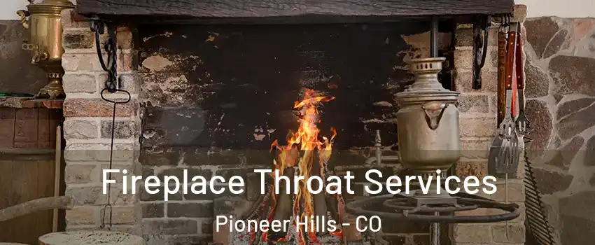 Fireplace Throat Services Pioneer Hills - CO