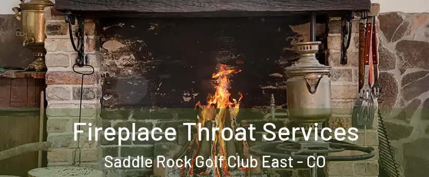 Fireplace Throat Services Saddle Rock Golf Club East - CO