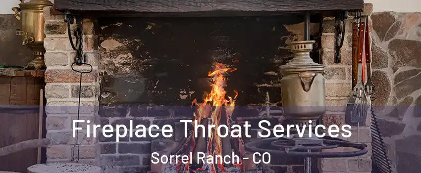 Fireplace Throat Services Sorrel Ranch - CO