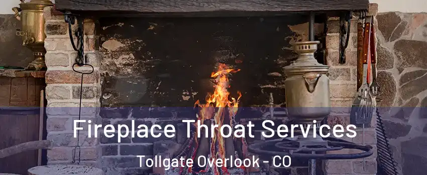 Fireplace Throat Services Tollgate Overlook - CO