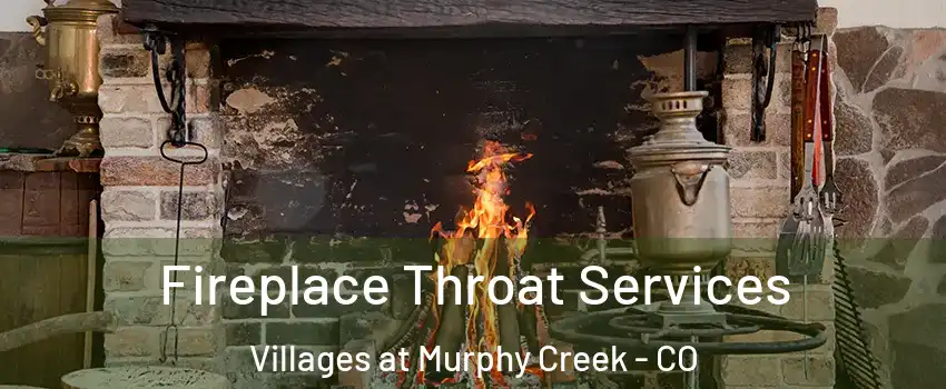 Fireplace Throat Services Villages at Murphy Creek - CO