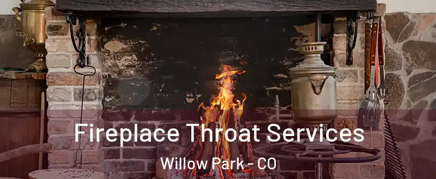 Fireplace Throat Services Willow Park - CO