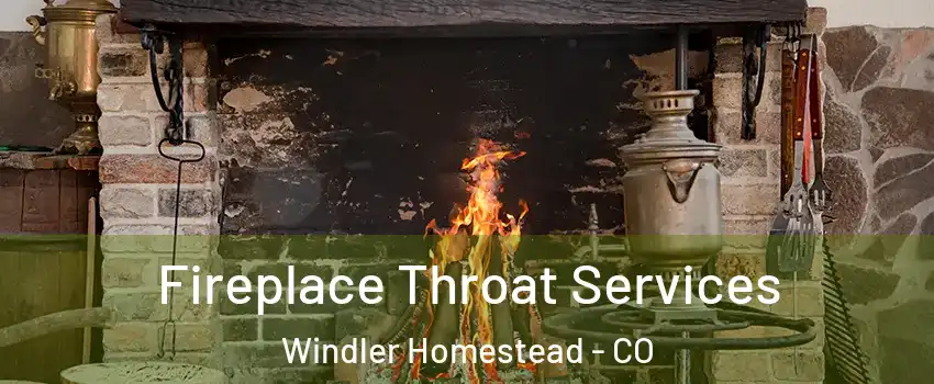 Fireplace Throat Services Windler Homestead - CO