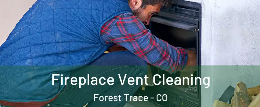 Fireplace Vent Cleaning Forest Trace - CO