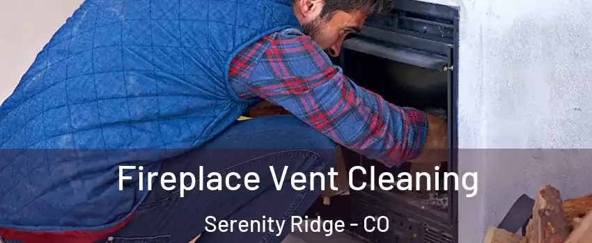 Fireplace Vent Cleaning Serenity Ridge - CO