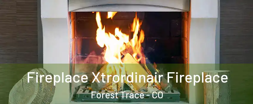 Fireplace Xtrordinair Fireplace Forest Trace - CO