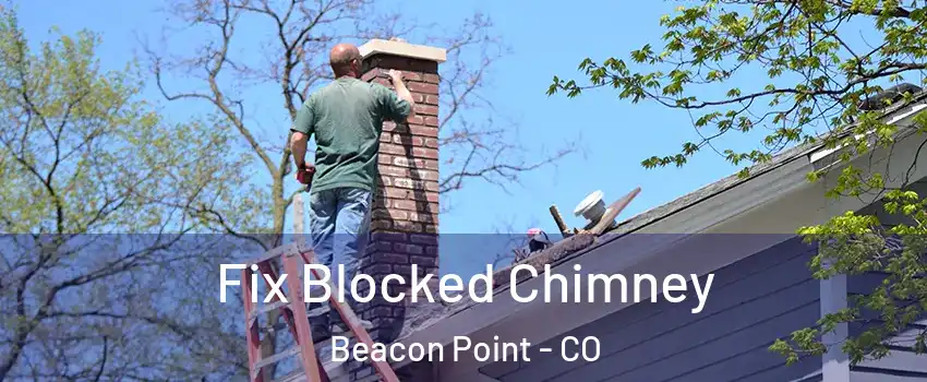 Fix Blocked Chimney Beacon Point - CO