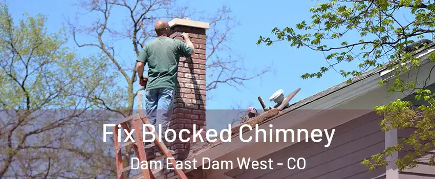 Fix Blocked Chimney Dam East Dam West - CO