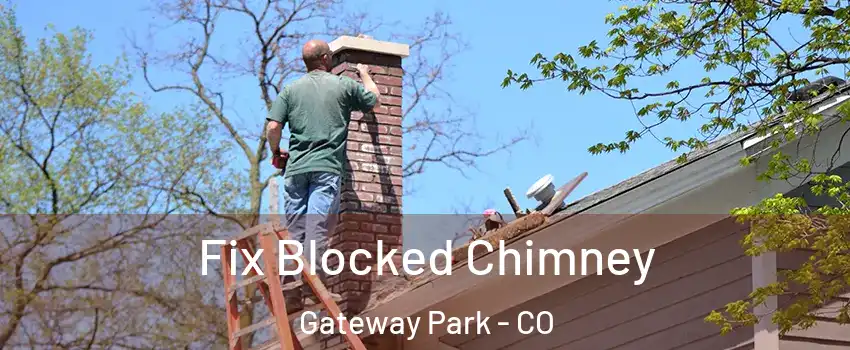 Fix Blocked Chimney Gateway Park - CO