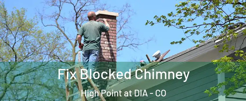 Fix Blocked Chimney High Point at DIA - CO