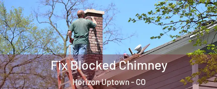 Fix Blocked Chimney Horizon Uptown - CO