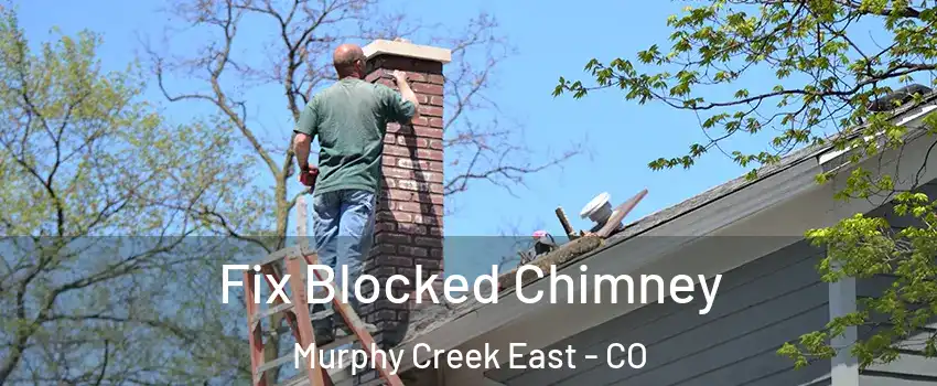 Fix Blocked Chimney Murphy Creek East - CO