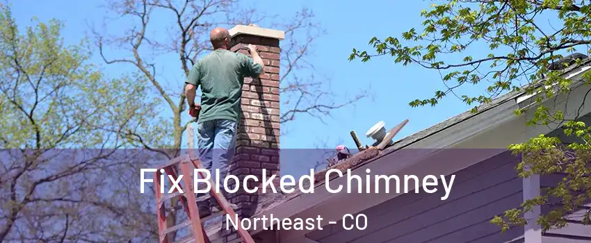 Fix Blocked Chimney Northeast - CO