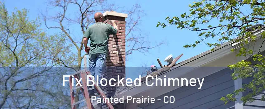 Fix Blocked Chimney Painted Prairie - CO