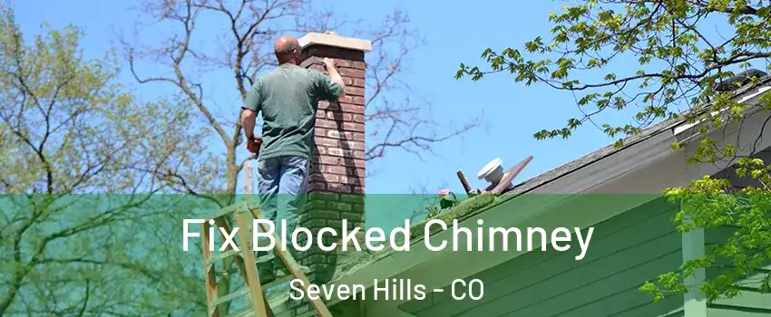 Fix Blocked Chimney Seven Hills - CO