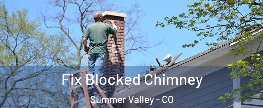 Fix Blocked Chimney Summer Valley - CO