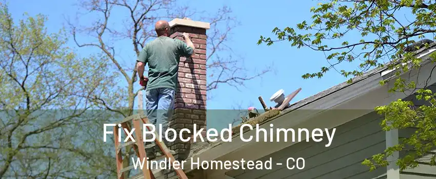 Fix Blocked Chimney Windler Homestead - CO