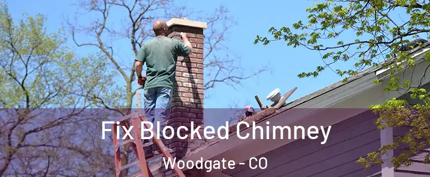 Fix Blocked Chimney Woodgate - CO