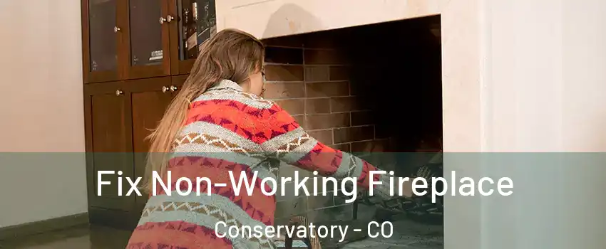 Fix Non-Working Fireplace Conservatory - CO