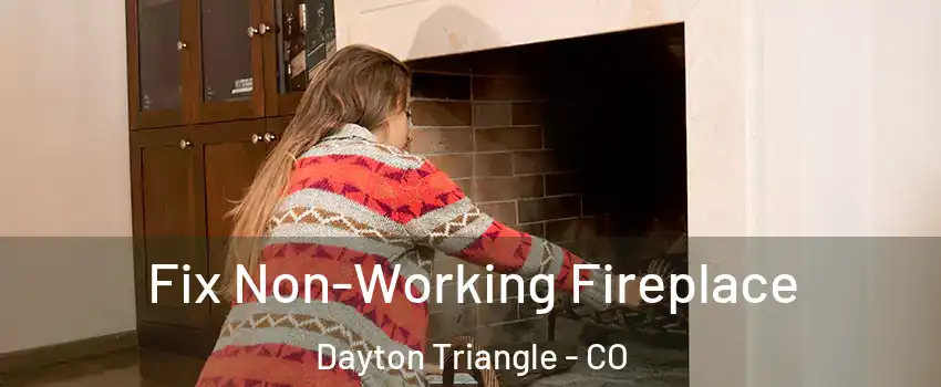 Fix Non-Working Fireplace Dayton Triangle - CO