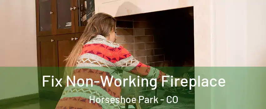 Fix Non-Working Fireplace Horseshoe Park - CO