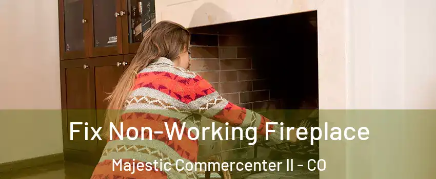 Fix Non-Working Fireplace Majestic Commercenter II - CO