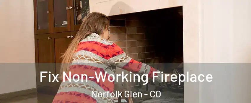 Fix Non-Working Fireplace Norfolk Glen - CO