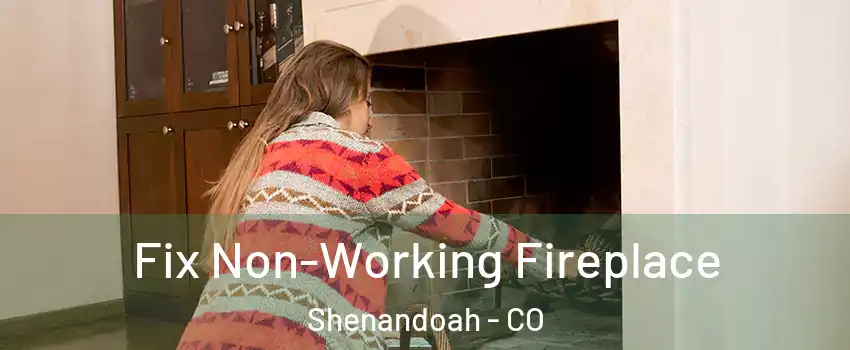 Fix Non-Working Fireplace Shenandoah - CO