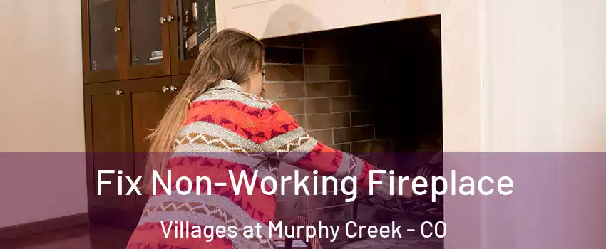 Fix Non-Working Fireplace Villages at Murphy Creek - CO