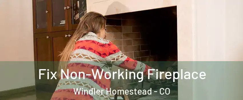 Fix Non-Working Fireplace Windler Homestead - CO