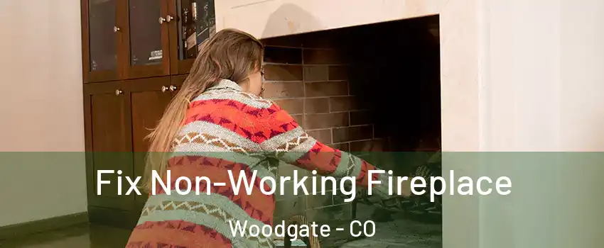 Fix Non-Working Fireplace Woodgate - CO