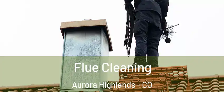 Flue Cleaning Aurora Highlands - CO