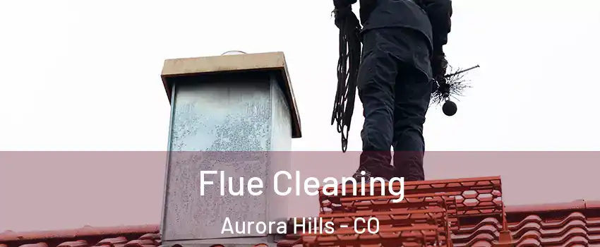 Flue Cleaning Aurora Hills - CO