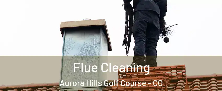 Flue Cleaning Aurora Hills Golf Course - CO