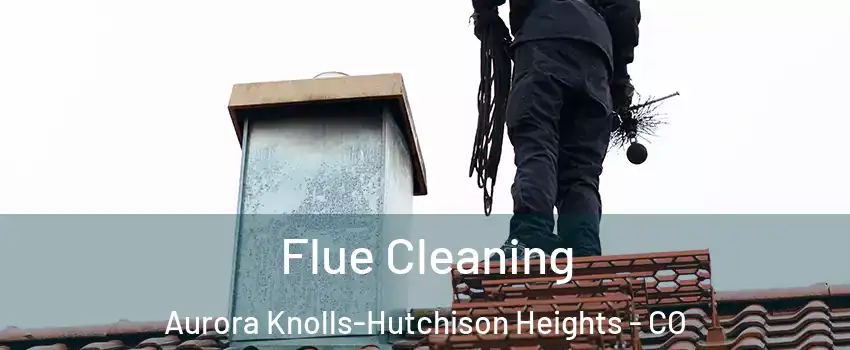 Flue Cleaning Aurora Knolls-Hutchison Heights - CO