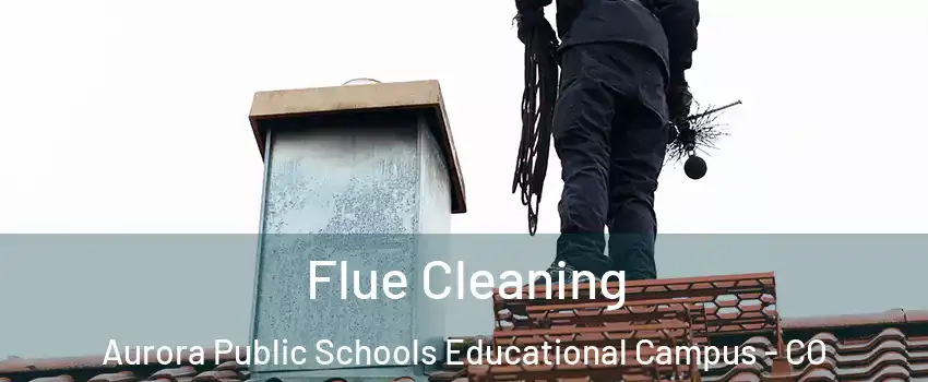 Flue Cleaning Aurora Public Schools Educational Campus - CO