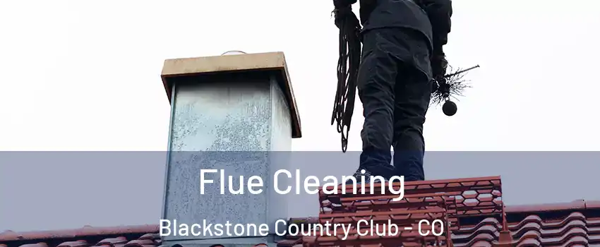 Flue Cleaning Blackstone Country Club - CO