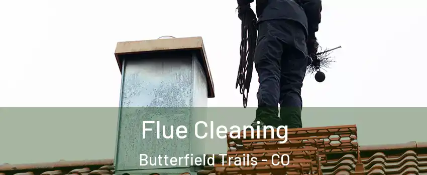 Flue Cleaning Butterfield Trails - CO