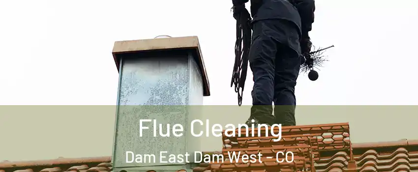 Flue Cleaning Dam East Dam West - CO