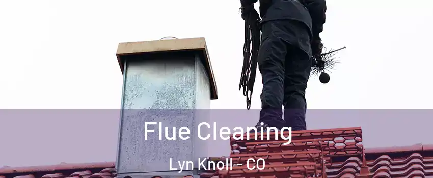 Flue Cleaning Lyn Knoll - CO