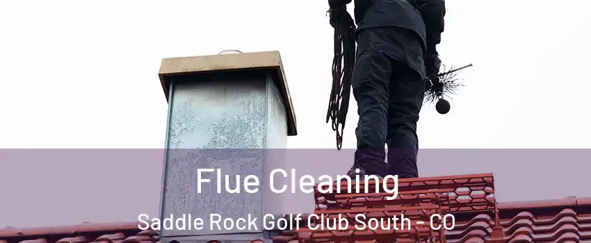 Flue Cleaning Saddle Rock Golf Club South - CO